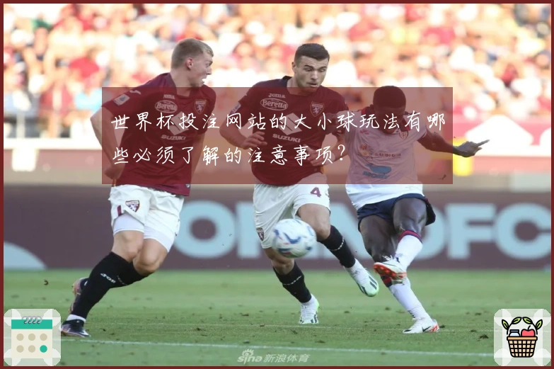 世界杯投注网站的大小球玩法有哪些必须了解的注意事项？
