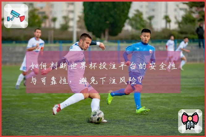 如何判断世界杯投注平台的安全性与可靠性，避免下注风险？