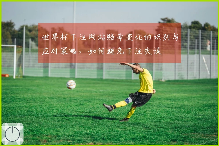 世界杯下注网站赔率变化的识别与应对策略，如何避免下注失误