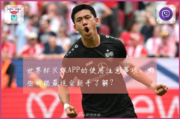 世界杯买球APP的使用注意事项，哪些功能最适合新手了解？