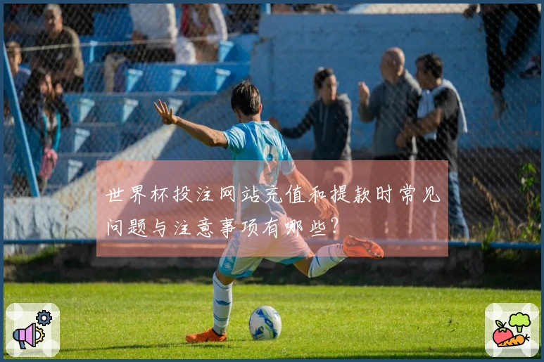 世界杯投注网站充值和提款时常见问题与注意事项有哪些？