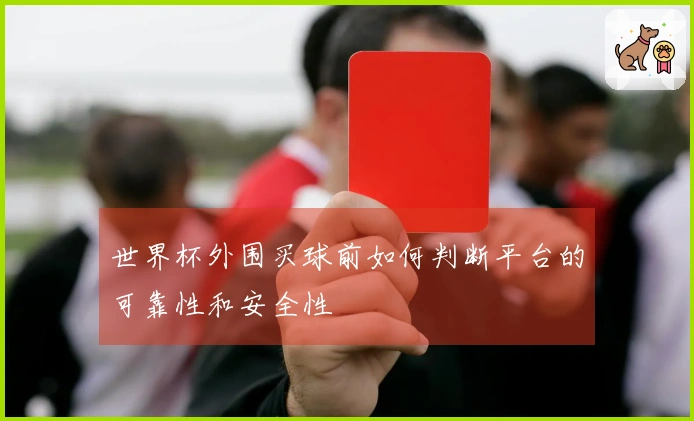 世界杯外围买球前如何判断平台的可靠性和安全性