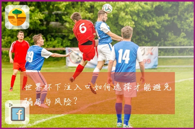世界杯下注入口如何选择才能避免骗局与风险？