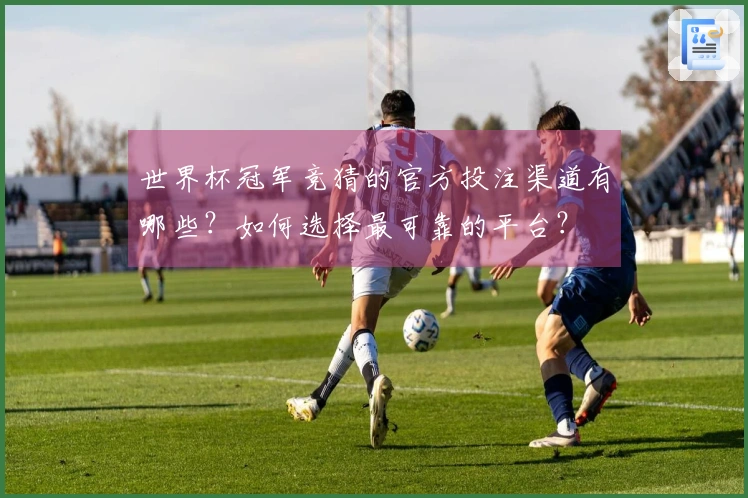 世界杯冠军竞猜的官方投注渠道有哪些？如何选择最可靠的平台？