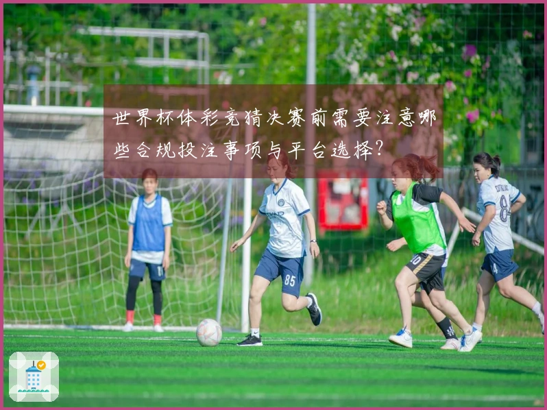 世界杯体彩竞猜决赛前需要注意哪些合规投注事项与平台选择？