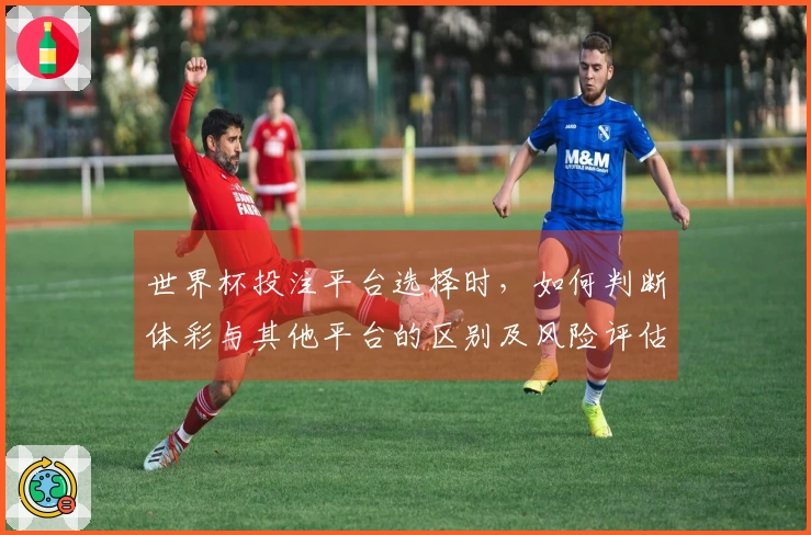 世界杯投注平台选择时，如何判断体彩与其他平台的区别及风险评估？