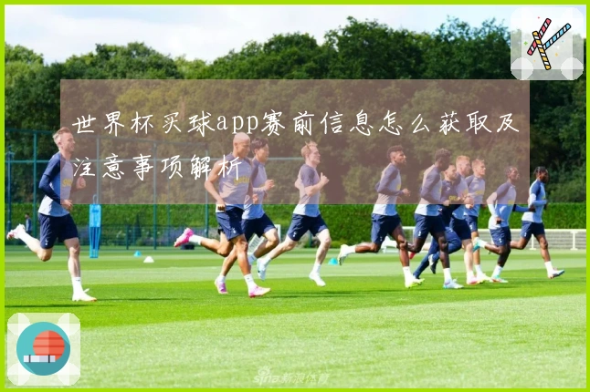 世界杯买球app赛前信息怎么获取及注意事项解析