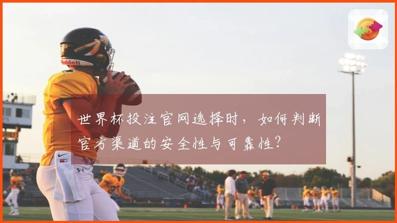 世界杯投注官网选择时，如何判断官方渠道的安全性与可靠性？