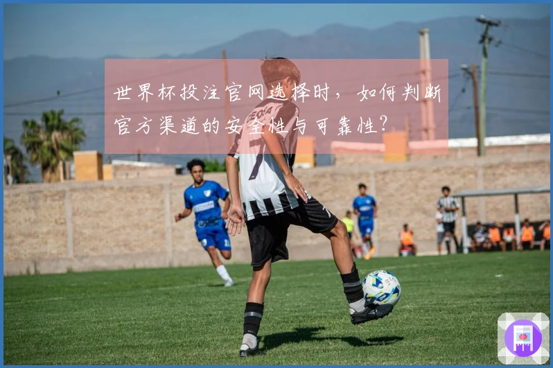 世界杯投注官网选择时，如何判断官方渠道的安全性与可靠性？