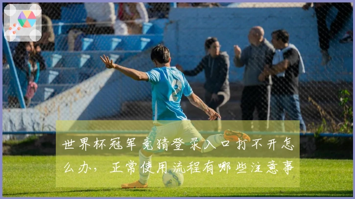 世界杯冠军竞猜登录入口打不开怎么办，正常使用流程有哪些注意事项