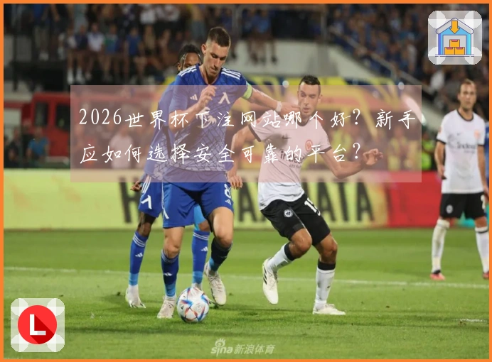 2026世界杯下注网站哪个好？新手应如何选择安全可靠的平台？