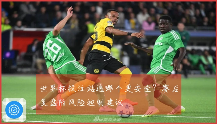 世界杯投注站选哪个更安全？赛后复盘附风险控制建议