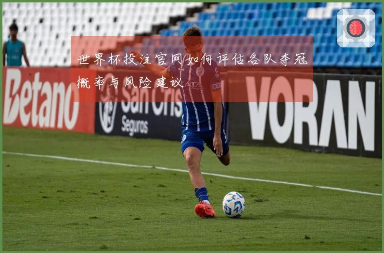 世界杯投注官网如何评估各队夺冠概率与风险建议
