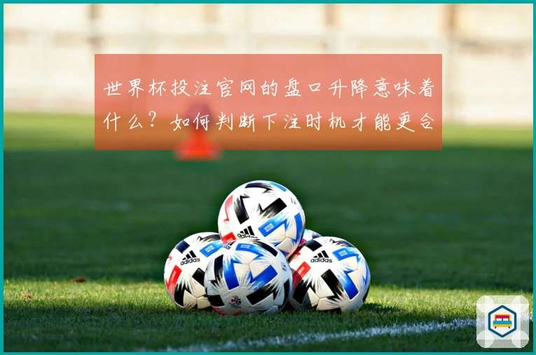世界杯投注官网的盘口升降意味着什么？如何判断下注时机才能更合理？