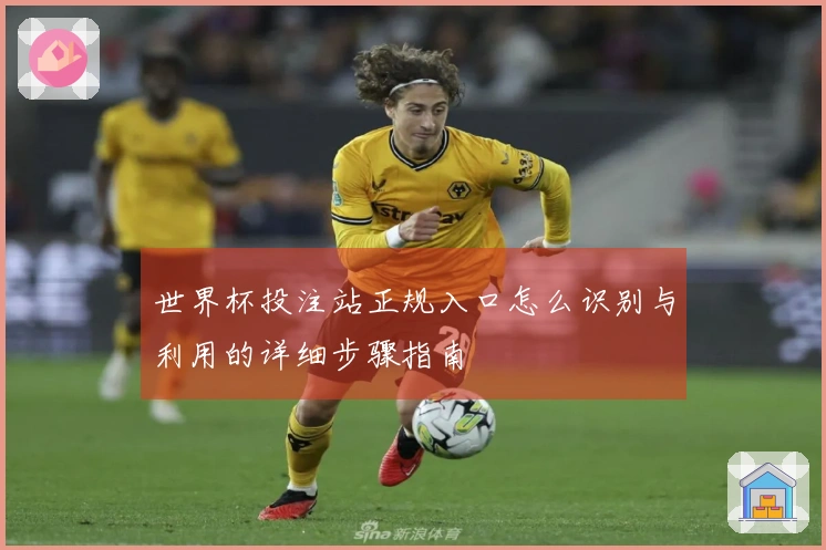 世界杯投注站正规入口怎么识别与利用的详细步骤指南