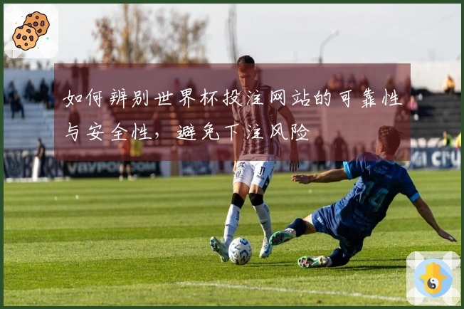 如何辨别世界杯投注网站的可靠性与安全性，避免下注风险